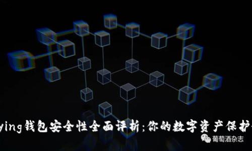 Bying钱包安全性全面评析：你的数字资产保护伞