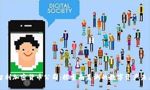 智利加密货币公司：探索南美洲的数字资产未来