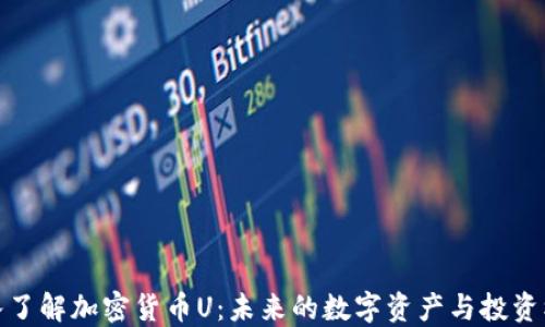 
深入了解加密货币U：未来的数字资产与投资机会