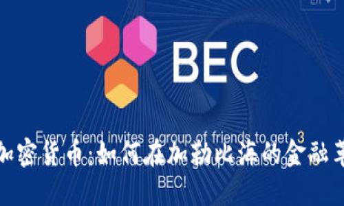 维京群岛加密货币：如何在加勒比海的金融革命中导航